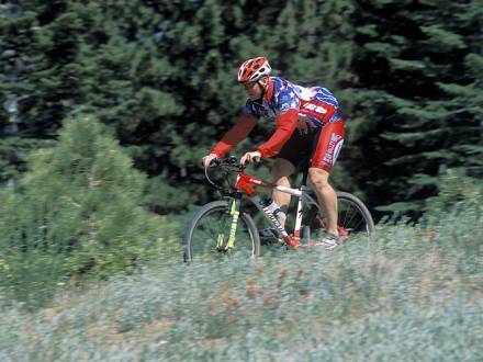 Un ciclista de montaña con una equipación de color rojo brillante recorre un sendero para bicicletas en Big Bear Lake, California. El frondoso y verde bosque le rodea.
