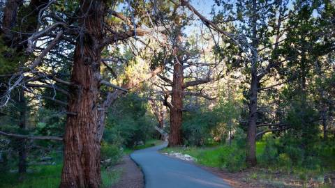 Sendero alpino para bicicletas a lo largo de la costa norte