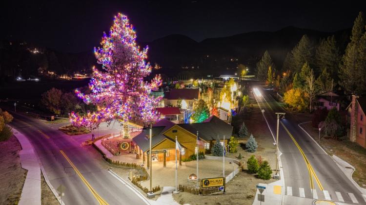 Una foto aérea del Wild Lights del zoo alpino de Big Bear: el pino gigante de la entrada cubierto de luces multicolores.