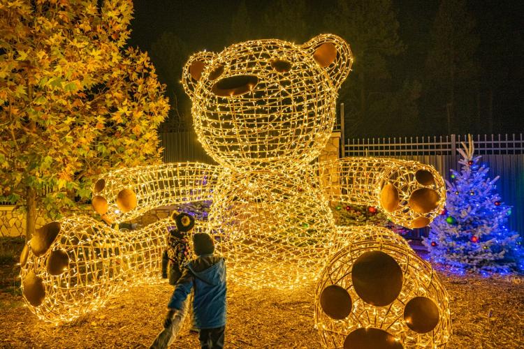 Una foto del zoo alpino de Big Bear Wild Lights: un oso de peluche gigante con los brazos bien abiertos.
