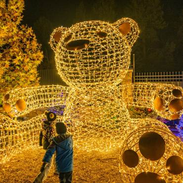 Una foto del zoo alpino de Big Bear Wild Lights: un oso de peluche gigante con los brazos bien abiertos.