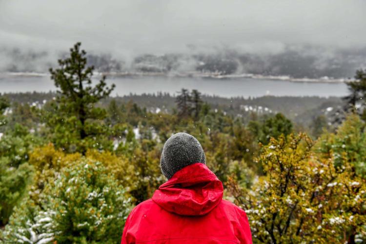 Un hombre contempla un paisaje forestal invernal. Un lago helado y un frondoso bosque verde se extienden por el paisaje.