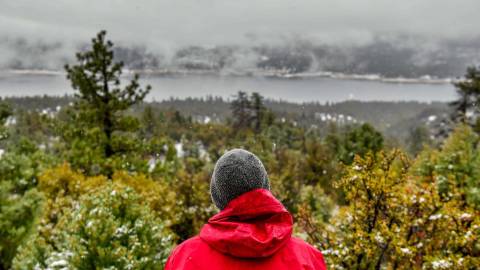Un hombre contempla un paisaje forestal invernal. Un lago helado y un frondoso bosque verde se extienden por el paisaje.