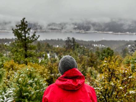 Un hombre contempla un paisaje forestal invernal. Un lago helado y un frondoso bosque verde se extienden por el paisaje.