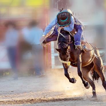 Un vaquero a lomos de un caballo durante un rodeo: lleva vaqueros azules, una camisa azul a cuadros de manga larga y un sombrero marrón.