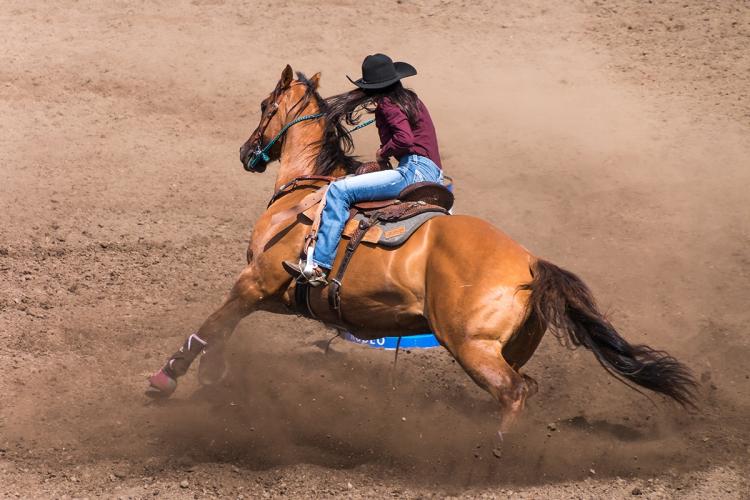 Una vaquera a lomos de un caballo durante un rodeo; lleva vaqueros azules, una camiseta de manga larga de color burdeos y un sombrero negro.