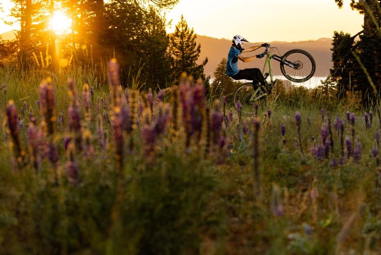 Una persona montando en bicicleta durante una puesta de sol de un naranja intenso en Big Bear Lake, California; en primer plano se ven flores silvestres.