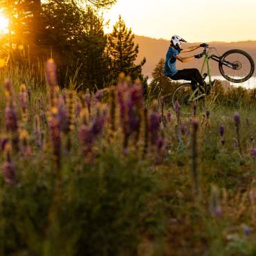 Una persona montando en bicicleta durante una puesta de sol de un naranja intenso en Big Bear Lake, California; en primer plano se ven flores silvestres.