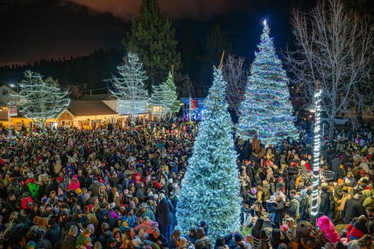 A large crowd of warmly bundled people surrounding the light covered trees at the Village Christmas Tree Lighting Ceremony