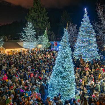 Una gran multitud de gente abrigada rodea los árboles cubiertos de luz en la Ceremonia de Encendido del Árbol de Navidad del pueblo.
