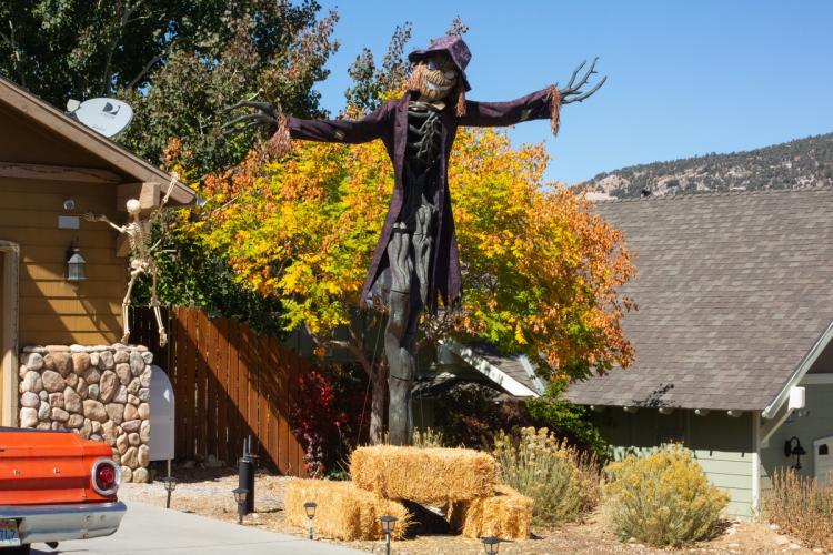 A 2025 Scarecrow & Dia de Los Muertos Display - hay un espantapájaros alto con abrigo y gorro que sale de un árbol en penumbra.