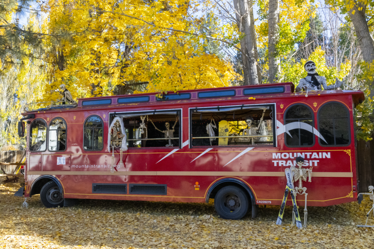 A 2025 Scarecrow & Dia de Los Muertos Display - hay muchos esqueletos en, sobre y alrededor de la carretilla de tránsito de montaña.