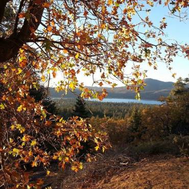 Vista otoñal del lago