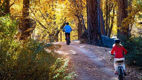 Dos ciclistas subiendo una cuesta por una pista de ciclismo de montaña en otoño; a lo lejos se ven los árboles teñidos de los colores del otoño.