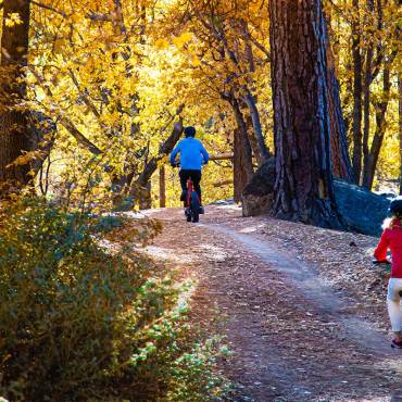Dos ciclistas subiendo una cuesta por una pista de ciclismo de montaña en otoño; a lo lejos se ven los árboles teñidos de los colores del otoño.