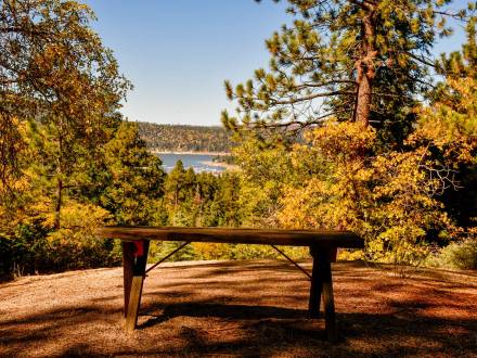 banco en el sendero Pineknot de Big Bear