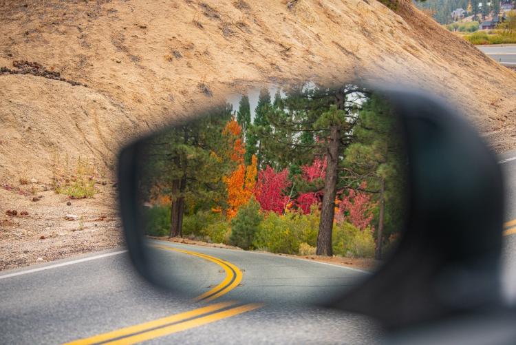 A photo taken utilizing a car's side view mirror, the mirror shows the background of beautiful autumn colored leaves on trees