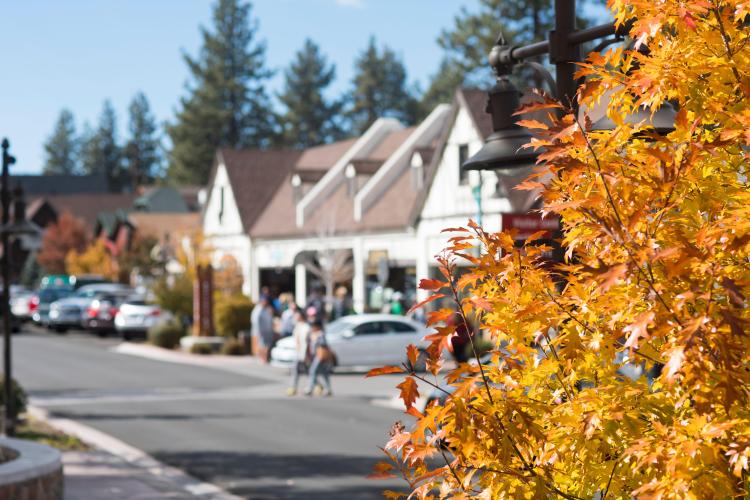 Un arce dorado en primer plano de The Village en Big Bear Lake. Los negocios del Village se ven borrosos al fondo.