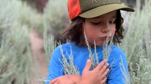 Un niño huele una planta de salvia en una ruta de senderismo en Big Bear.