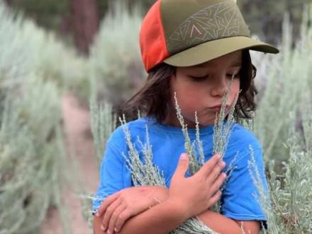 Un niño huele una planta de salvia en una ruta de senderismo en Big Bear.