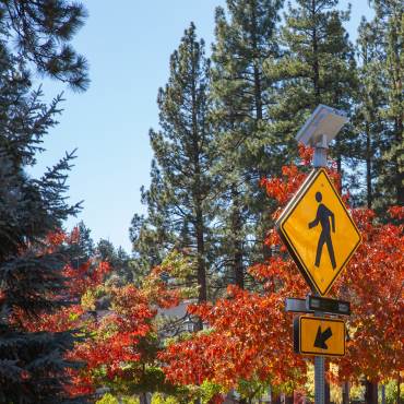 Una foto de una señal de cruce de carretera - al fondo hay árboles cubiertos de hojas de colores otoñales.