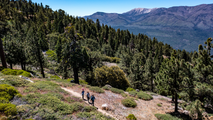 Senderismo en familia por el sendero del lago Big Bear