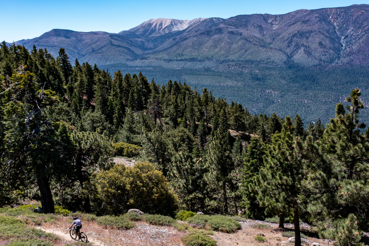 Chico montando en bicicleta por el sendero Big Bear Trail.