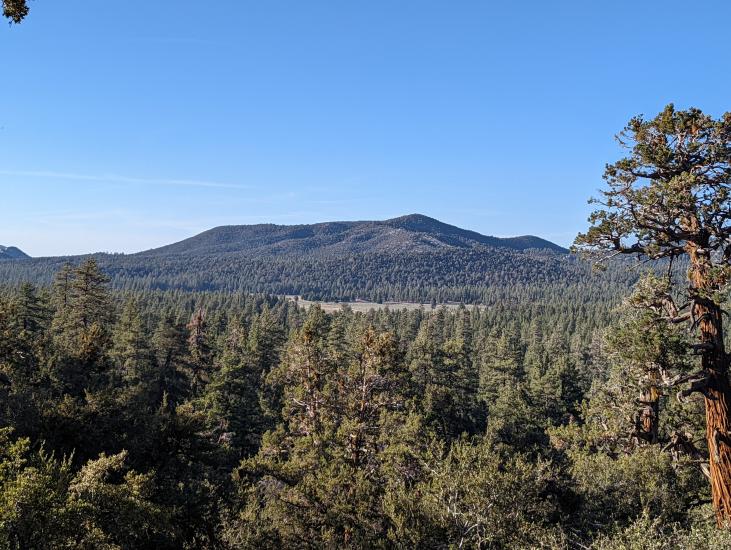 A photo of the Holcomb Valley trail view, the tree covered mountains are visible in the distance.